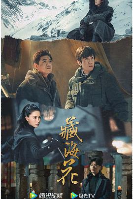 藏海花电影海报