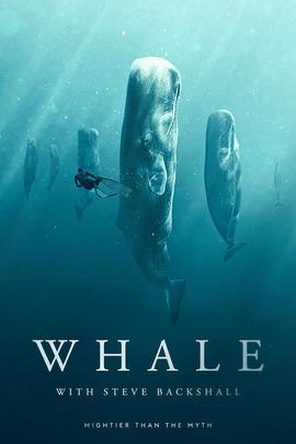 Whale with Steve Backshall Season 1电影海报